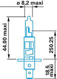 Лампа галогенна H1 24V 70W, фото 2