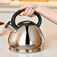 Чайник для плити зі свистком SimpleSteel, 3,5 л, нержавіюча сталь, одинарне дно