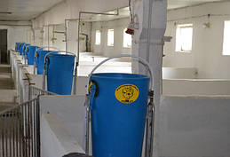 Свинокомплекс Хмельницька обл.