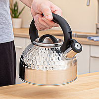 Чайник для плити зі свистком SteelArt, 2,5 л, капсульне дно, нержавіюча сталь