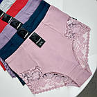 Жіночі бавовняні трусики #5100  Marabut (Anttifu) МІКС, фото 3