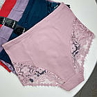 Жіночі бавовняні трусики #5100  Marabut (Anttifu) МІКС, фото 5