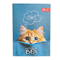 Папка для зошитів А5+ на гумці ламініція, картон