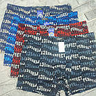 Труси чоловічі боксери батал ростовка р.5XL,6XL,7XL бавовна+бамбук ІНСАН (18720) 30039528, фото 2