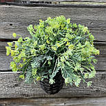 Штучні квіти кроп 32 см, фото 3