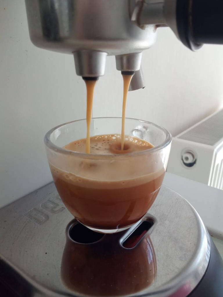 ETHIOPIA MOKKO PEABERRY 2 кава зернова ЕФІОПІЯ МОККО Арабіка 250 г Свіжообсмажена кава Моносорт - фото покупців 4