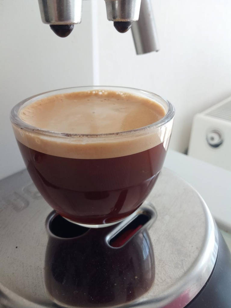 ETHIOPIA MOKKO PEABERRY 2 кава зернова ЕФІОПІЯ МОККО Арабіка 250 г Свіжообсмажена кава Моносорт - фото покупців 5