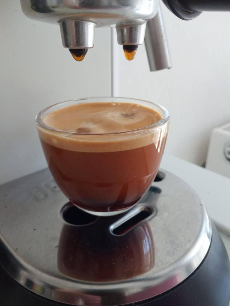 INDIA MONSOONED MALABAR AA кава зернова ІНДІЯ АА 250 г Свіжообсмажена кава Моносорт - фото покупців 5