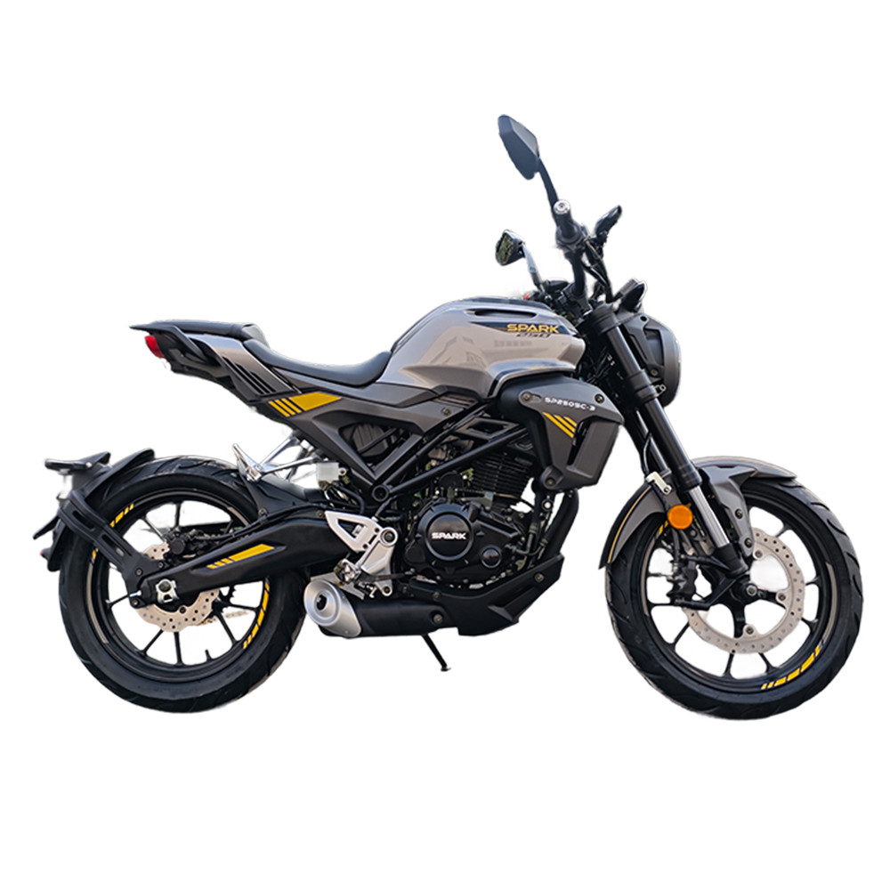 Мотоцикл Spark SP250SC-3 Scrambler