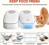 Годівниця PetnessGo для вологих кормів із функцією охолодження, фото 6