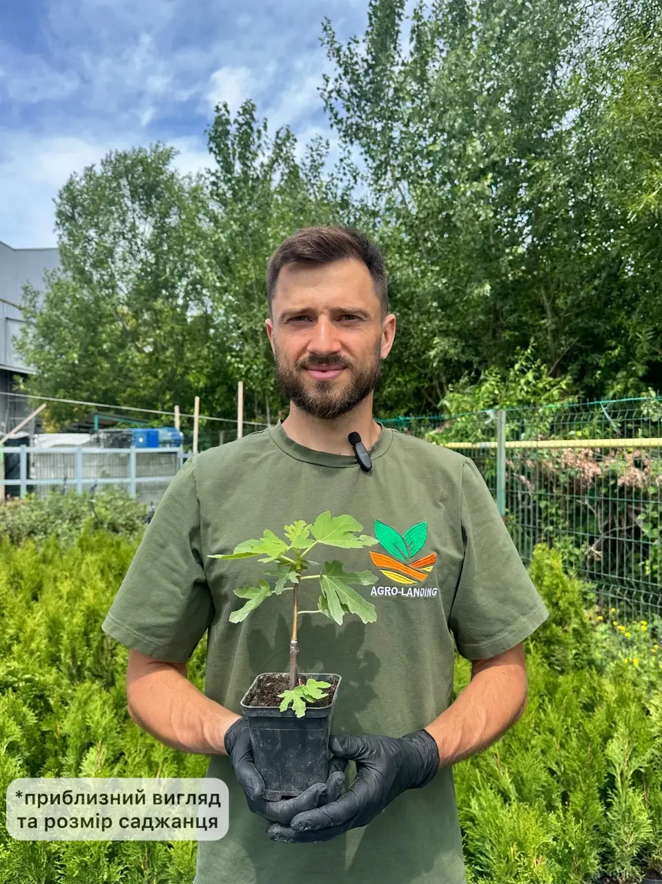 Порнографиялық тесіктердің жақыннан түсірілген фотосуреттері