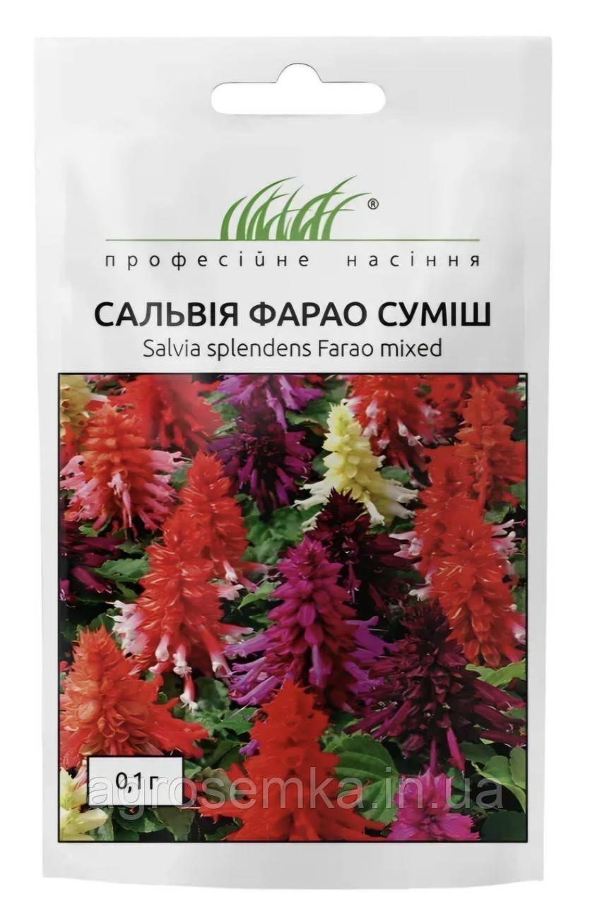 Сальвія блискуча Фарао суміш 0.1г, фото 1