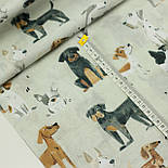 Бязь "Собачки" різні породи № Б-3530, фото 3