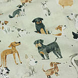 Бязь "Собачки" різні породи № Б-3530, фото 6