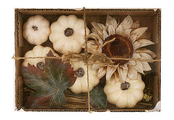 Набір для декору: гарбузи, соняшник та листя, 20*14*5см, колір - кремовий