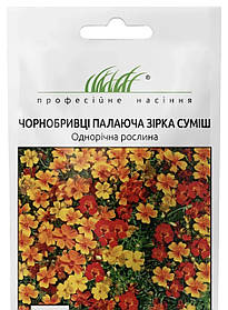 Чорнобривці дрібноквіткові Палаюча зірка 0.2г
