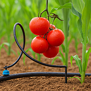 Крапельний полив, поверхневий полив. Комплектуючі та фітинг.