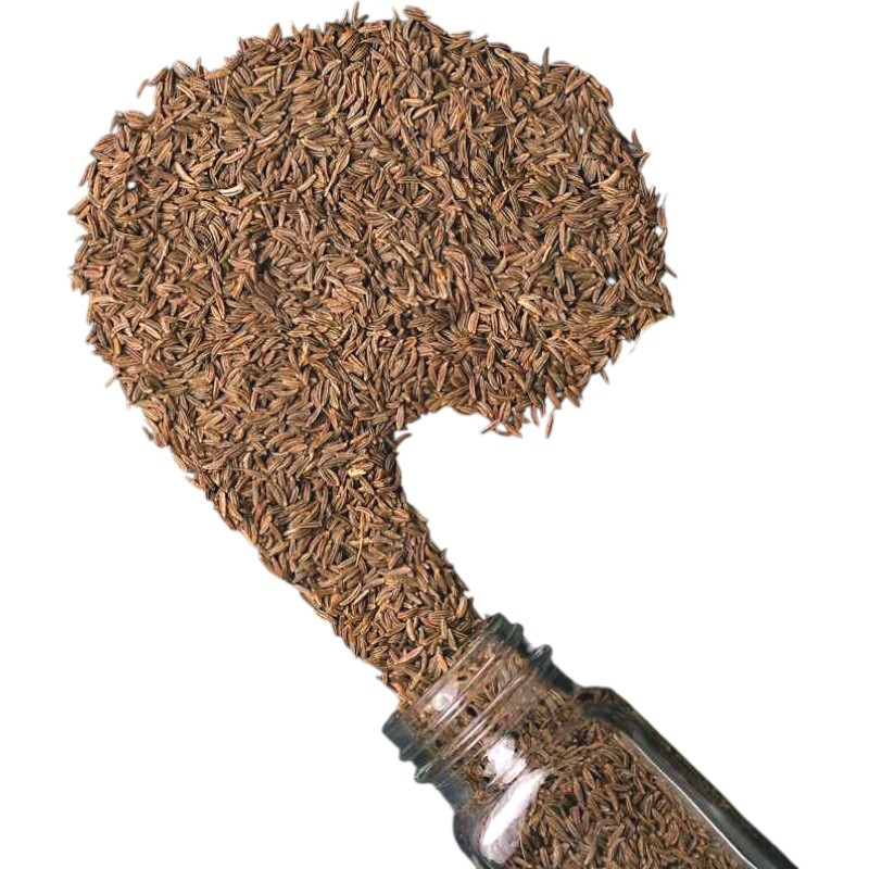 Кмин, фото 1