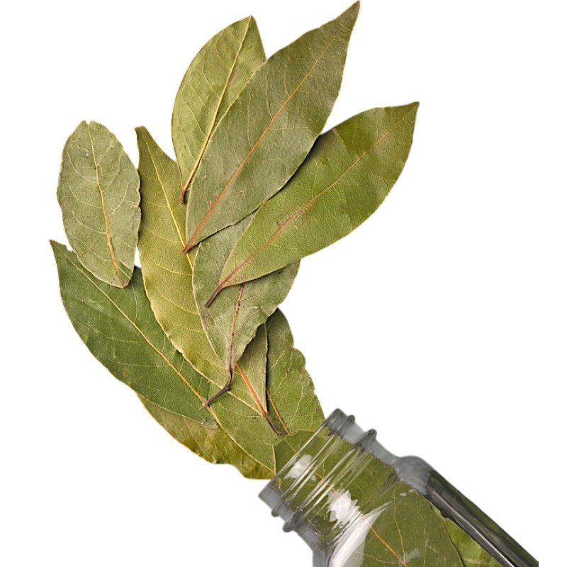 Лавровий лист (А)