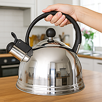 Чайник із свистком для плити DoubleBase, 2,5 л, подвійне дно, нержавіюча сталь, Сріблястий