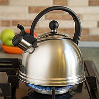 Чайник для плити зі свистком DoubleBase, 2,5 л, нержавіюча сталь, подвійне дно