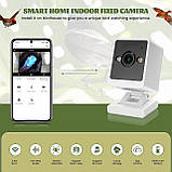 Ideashop Смарт шпаківня з бездротовою камерою 3MP, 13" H підвісний дерев'яний пташиний будиночок для вулиці, зовнішня камера, фото 3