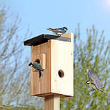 Ideashop Смарт шпаківня з бездротовою камерою 3MP, 13" H підвісний дерев'яний пташиний будиночок для вулиці, зовнішня камера, фото 2