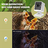 Ideashop Смарт шпаківня з бездротовою камерою 3MP, 13" H підвісний дерев'яний пташиний будиночок для вулиці, зовнішня камера, фото 5