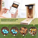 Ideashop Смарт шпаківня з бездротовою камерою 3MP, 13" H підвісний дерев'яний пташиний будиночок для вулиці, зовнішня камера, фото 6