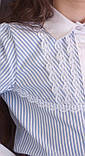 Блузка сорочка Світ блуз мод. 7002д у смужку, фото 2