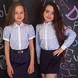 Блузка сорочка Світ блуз мод. 7002д у смужку, фото 3