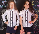 Блузка Світ блуз мод. 7088к, фото 2