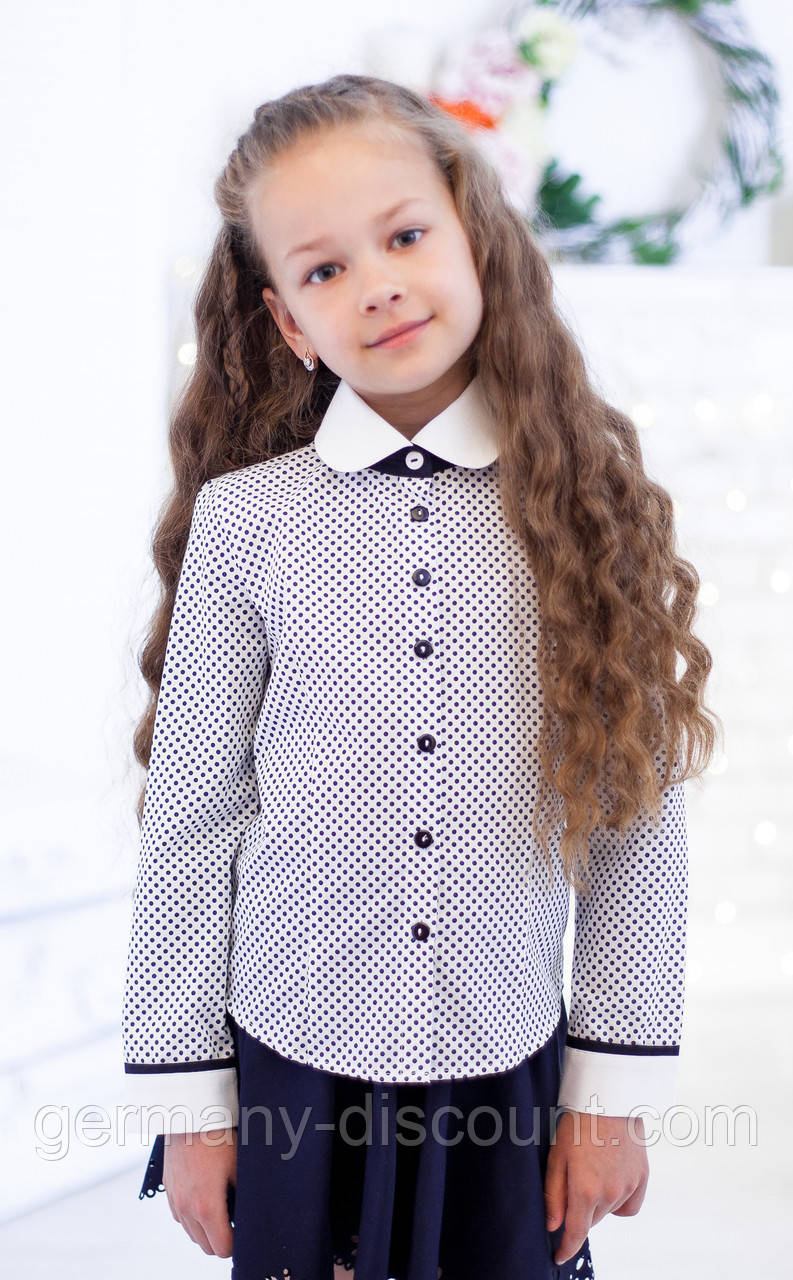 Блузочка Світ блуз мод. 5007д біла на синій горошок, фото 1