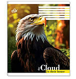 Зошит учнівський "Бріск" 48 арк. /ТВ-14/ №2455 "Дика фауна", клітинка, офсетний папір 55 г/м², ВД-лак, фото 5