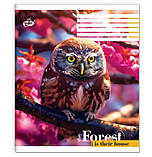 Зошит учнівський "Бріск" 48 арк. /ТВ-14/ №2455 "Дика фауна", клітинка, офсетний папір 55 г/м², ВД-лак, фото 2