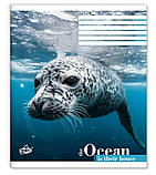 Зошит учнівський "Бріск" 48 арк. /ТВ-14/ №2455 "Дика фауна", клітинка, офсетний папір 55 г/м², ВД-лак, фото 3