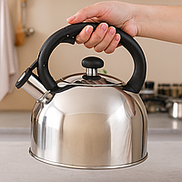 Чайник для плити зі свистком MiniSteel, 2,0 л, нержавіюча сталь, одинарне дно