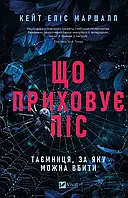 Що приховує ліс