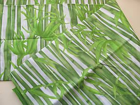 Штора для ванної Miranda BAMBOOS, фото 6
