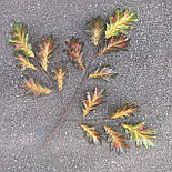 Гілка дуб осінній помаранчевий 65 см, фото 2