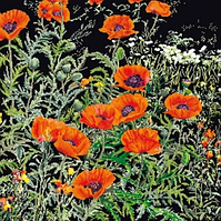 Набір для вишивання хрестиком "Помаранчеві маки" Thea Gouverneur T2062.05