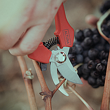 Секатор садовий Altuna / Альтуна 1253 INOX.A, 180 мм (Іспанія), фото 4