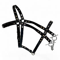 Вуздечка для коня західного типу Horse Stall шкіряна прикрашена. Вуздечка-кантер для коней з трензелем., фото 2