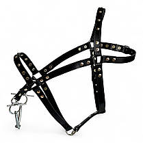 Вуздечка для коня західного типу Horse Stall шкіряна прикрашена. Вуздечка-кантер для коней з трензелем., фото 3