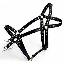 Вуздечка для коня західного типу Horse Stall шкіряна прикрашена. Вуздечка-кантер для коней з трензелем., фото 4