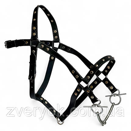 Вуздечка для коня західного типу Horse Stall шкіряна прикрашена. Вуздечка-кантер для коней з трензелем., фото 1