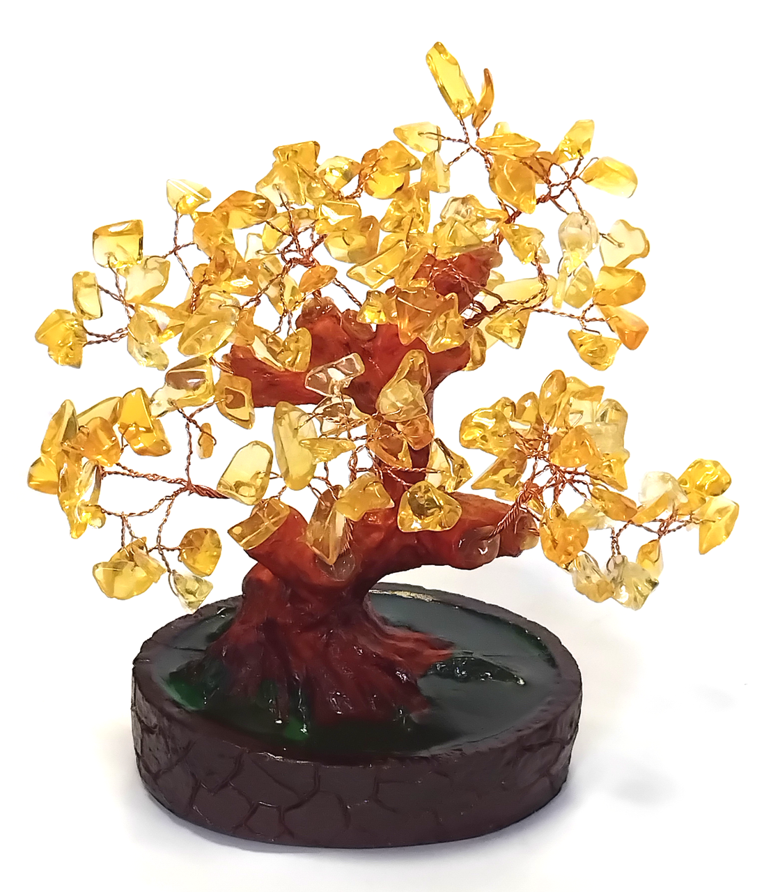 Грошове дерево 17 см, фото 1