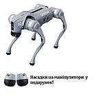 Робо-собака Unitree Go2 Air Package