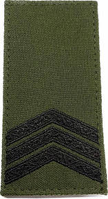 ПОГОНИ ОЛИВА