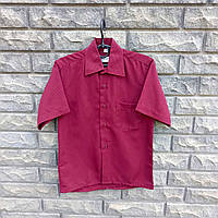 Сорочка ZOOR, короткий рукав, бордо, у смужку